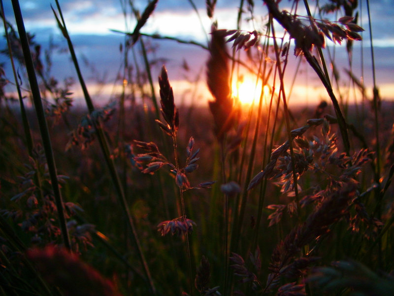 Litha sunset