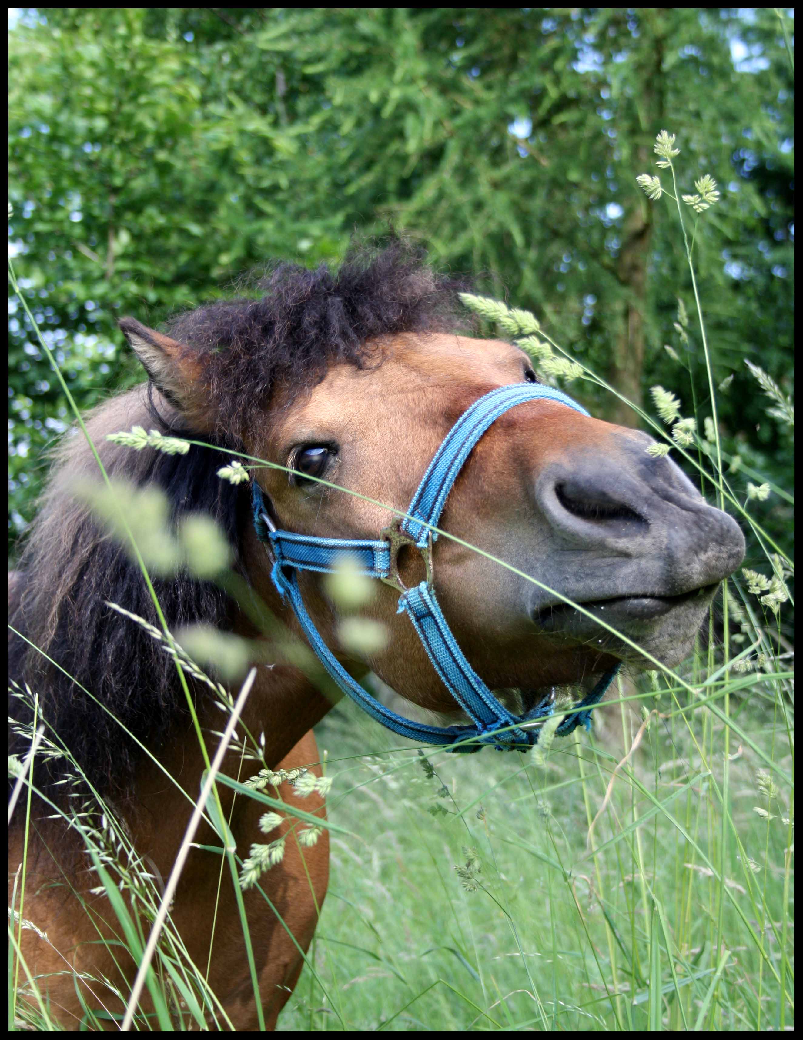 Mňam