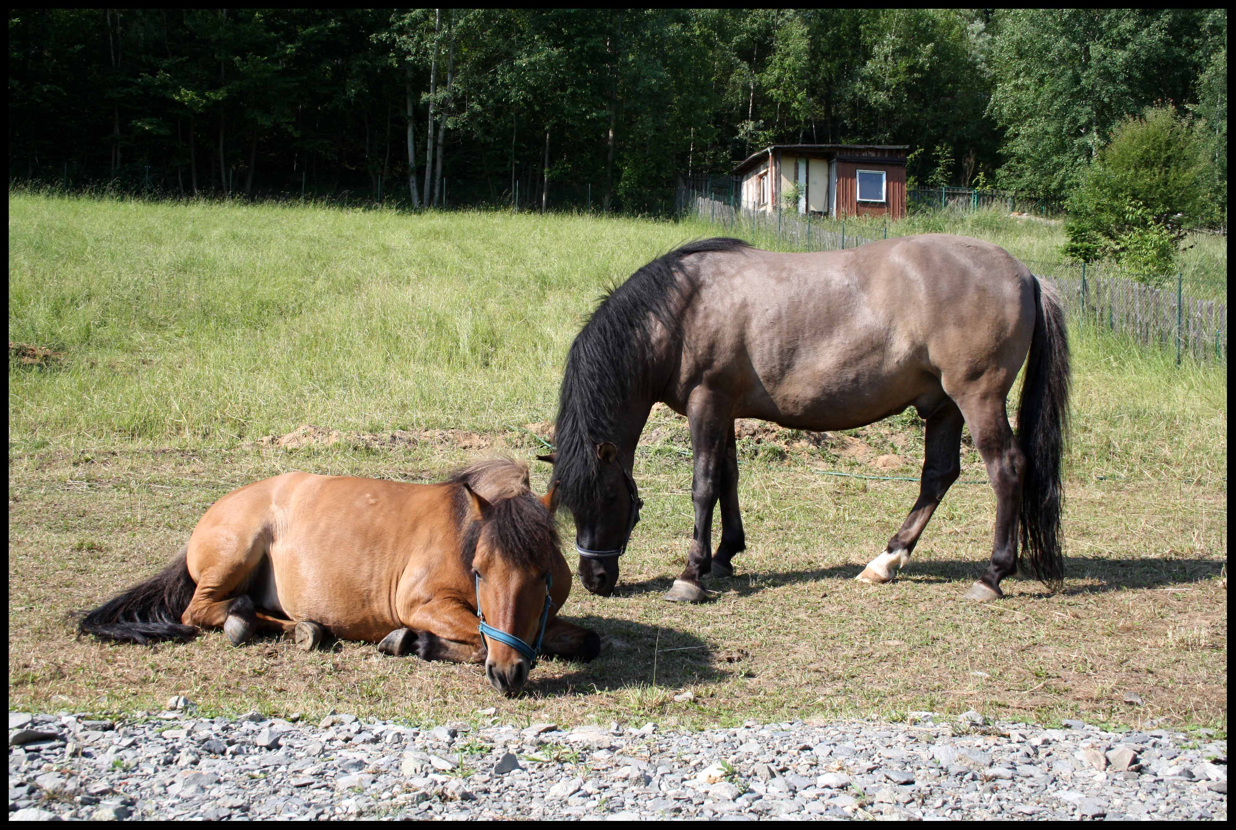 Ranní lenošení :)