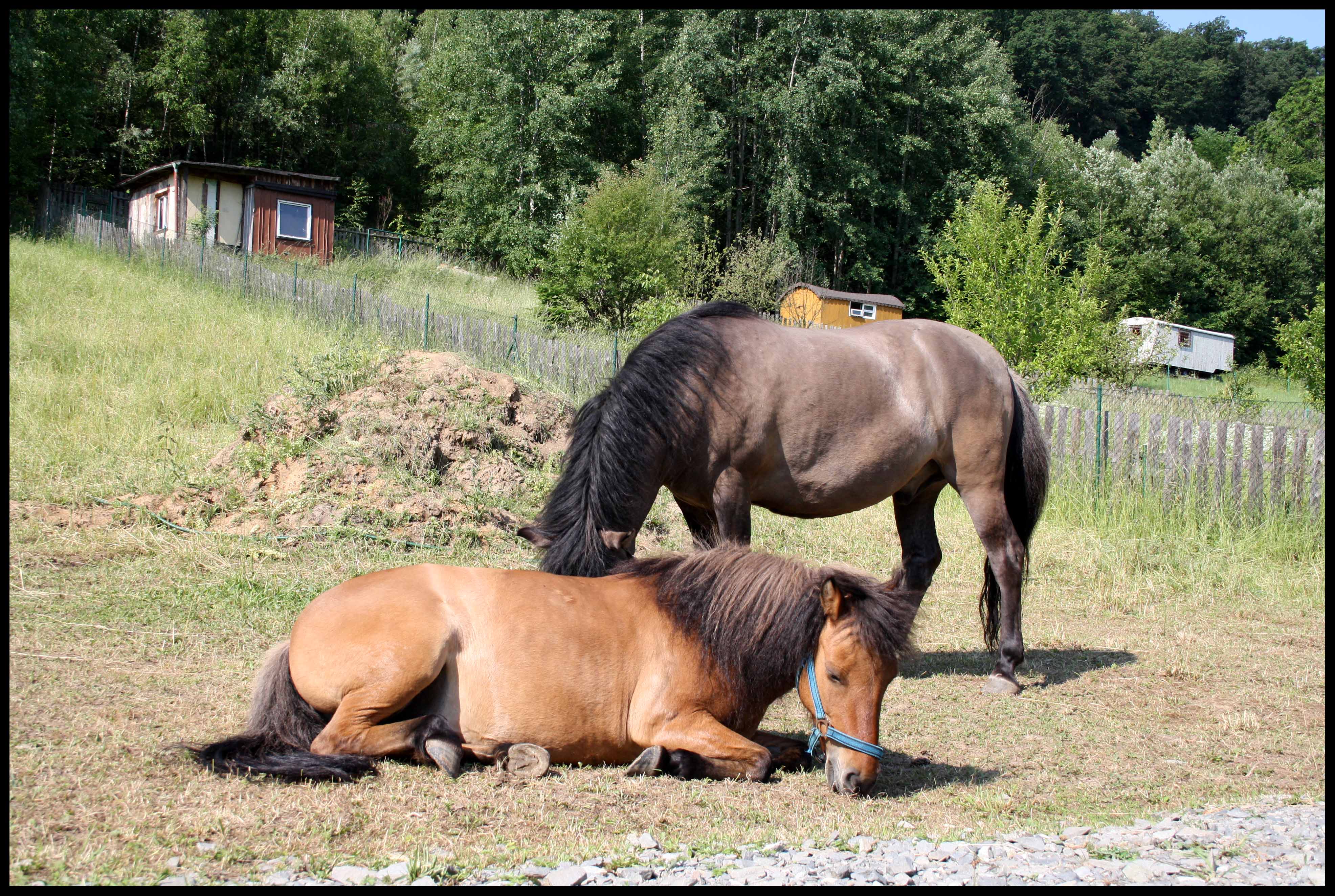 Dituška vždycky ráda lehávala na sluníčku :)