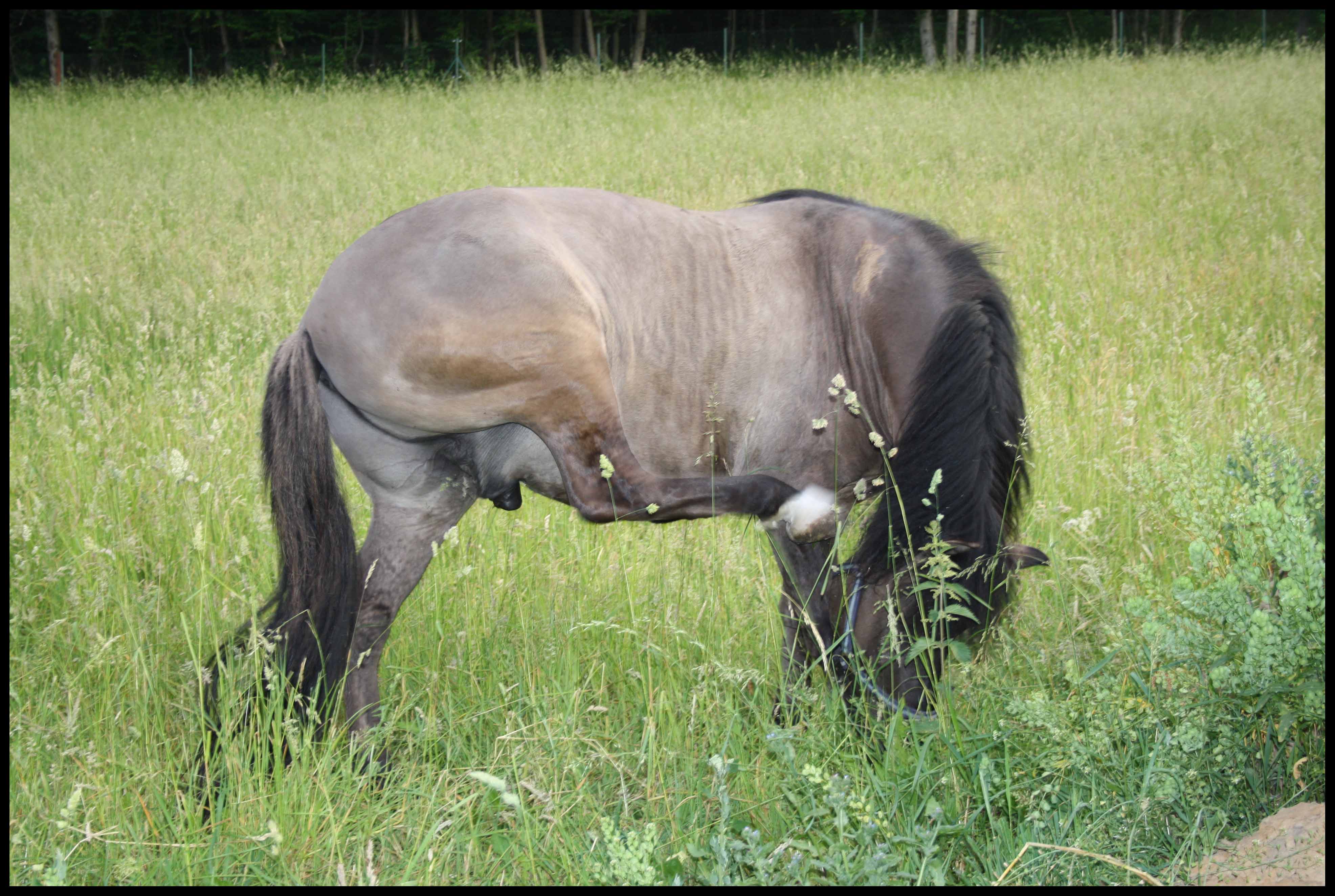 Komáři štípou